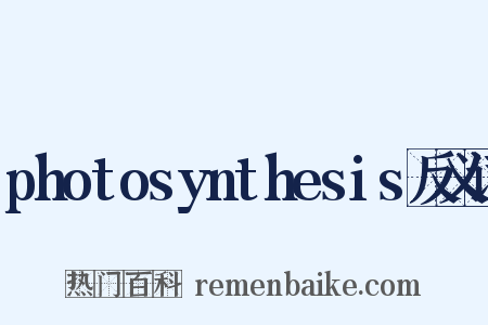 photosynthesis反义词是什么意思的图片